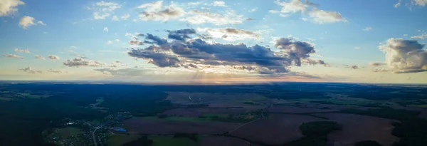Δάσος Πεύκου Από Ύψος Αεροφωτογραφία Drone Πάνω Από Ένα Καταπράσινο — Φωτογραφία Αρχείου