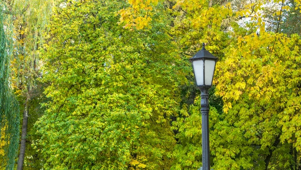Lanterna Contra Árvores Amarelas Outono Lâmpada Rua Parque Outono Paisagem — Fotografia de Stock