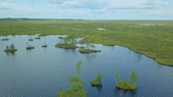 Ovanifrån Sumpigt Landskap Flygfoto Över Träsket Med Lake Miljöreservationskoncept Vild — Stockvideo