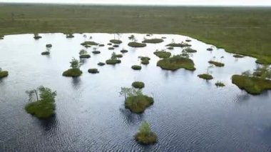 Bataklık manzarasının en üst görüntüsü. Göl 'le bataklık manzarası. Çevresel rezervasyon konsepti. Vahşi doğa arka planı.