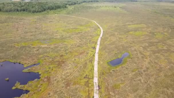 湿地を介して生態系のパスの空中ビュー 木の丸太の歩道を歩いている人たち 環境保全の考え方 — ストック動画