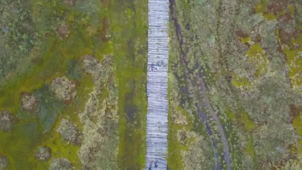 Flygfoto Ekologisk Väg Genom Träsket Folk Går Förbi Trästockens Gångväg — Stockvideo