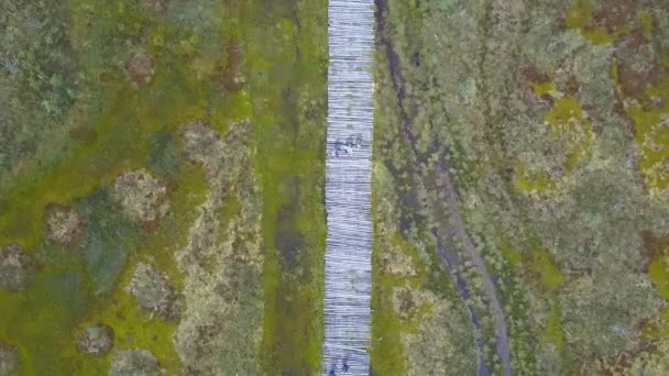 Vista Aérea Caminho Ecológico Através Pântano Pessoas Que Caminham Pelo — Vídeo de Stock