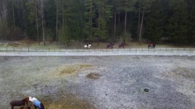 İnsanlar karlı arazide atlara biniyor. Aktif boş zaman. Macera konsepti.