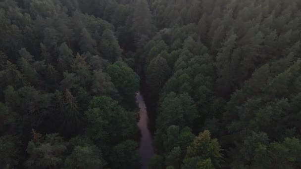 Vista Aérea Río Abajo Bosque Por Noche Crepúsculo Sobre Agua — Vídeos de Stock