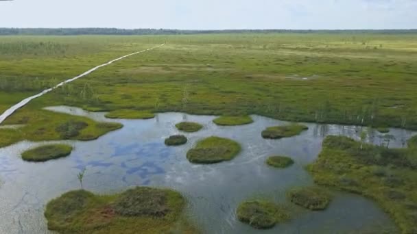 从空中俯瞰整个沼泽地的生态路径 走在沼泽边的木制圆木人行道上的人 养护和环境概念 — 图库视频影像