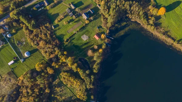 Göl kıyısında sarı ağaçlar olan sonbahar manzarası. Doğa konsepti. Metin için boşluk.