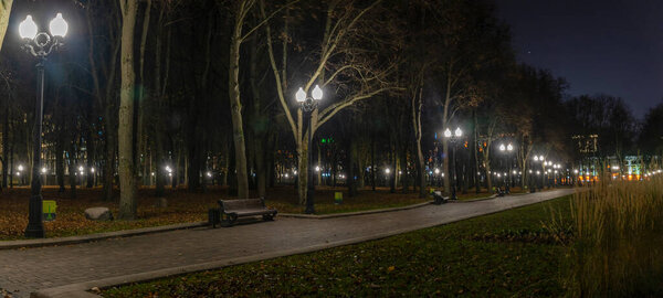 Night autumn park with fallen yellow leaves on the pavement and benches in the golden autumn season. Illuminated by lanterns.