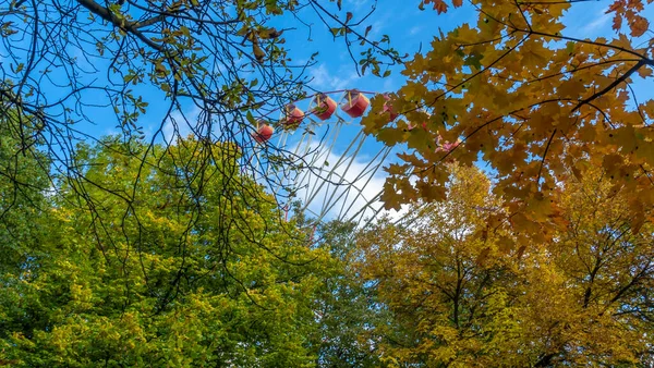 Parktaki Dönme Dolabın Bir Parçası Ağaçların Arkasındaki Mavi Gökyüzüne Karşı — Stok fotoğraf