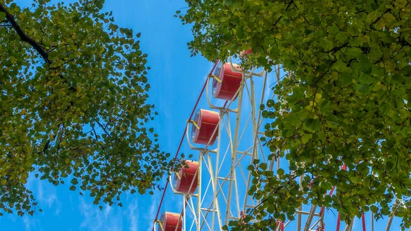 木々の後ろの青い空に対して公園内の観覧車の一部 青い空に対する観覧車の低角度ビュー 休暇と休暇のコンセプト — ストック写真