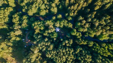 Yüksekten çam ormanı. Uçağı yemyeşil bir çam ormanının üzerinde..