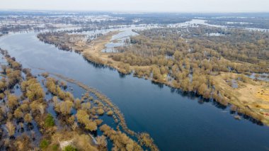Nehir ve yeşil ormanın güzel doğal manzarası. Ormanda yavaşça akan sessiz bir nehrin manzarası..