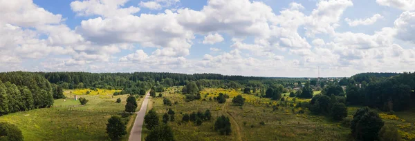 Letní Venkovská Krajina Modrou Oblohou Mraky Loukou Lesem Letecký Pohled — Stock fotografie