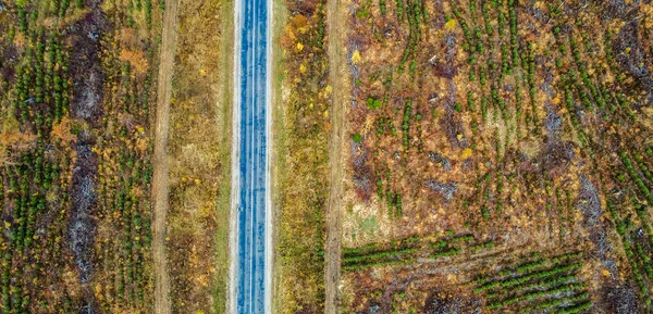 Vista Aérea Cima Para Baixo Estrada Asfalto Rural Outono Cores — Fotografia de Stock