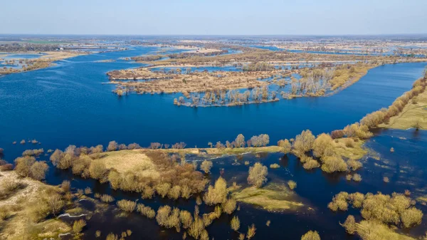 Fotografia Aérea Drones Árvores Verdes Crescer Margem Lago Natureza Paisagem — Fotografia de Stock