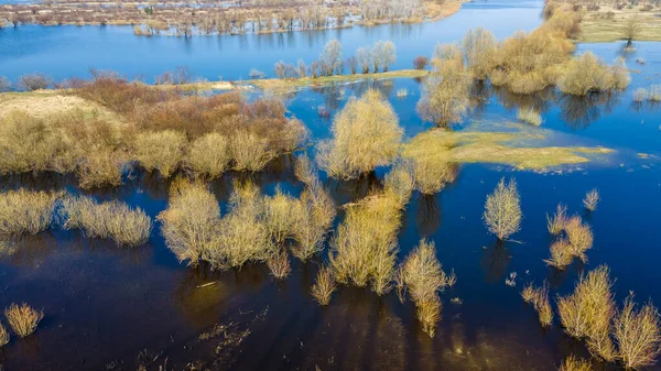 川の洪水の空中ビュー 美しい浸水草原 川が春に水でいっぱいのときに美しいプリピアット川の上を飛ぶ — ストック写真