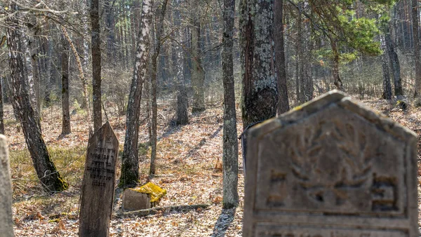유대인의 묘지에 버려진 묘비에는 히브리어 비문이 새겨져 가을에 묘지의 배경에 — 스톡 사진