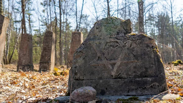 Yahudi Mezar Taşı Ormandaki Eski Yahudi Mezarlığı — Stok fotoğraf