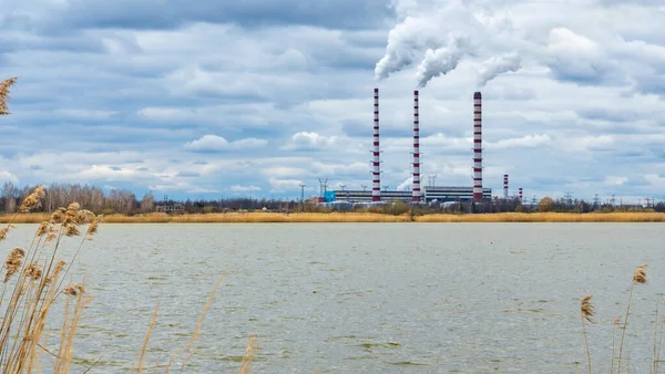 Campo Com Flores Mortas Secas Fundo Uma Grande Refinaria Petróleo — Fotografia de Stock