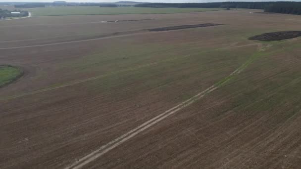 Χωράφια Έσπειραν Και Καθάριζαν Βιομηχανική Καλλιέργεια Καλλιεργειών Αεροφωτογραφία Ενός Μεγάλου — Αρχείο Βίντεο