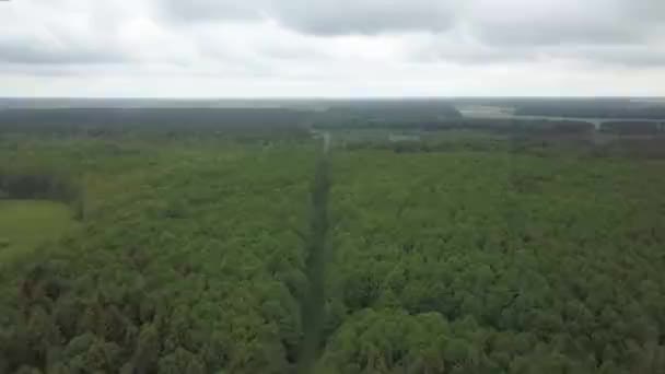 Luchtfoto Van Een Spoorweg Het Groene Bos Pad Van Smalle — Stockvideo