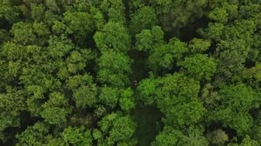 Dar göstergeli demiryolu ile köprünün yukarıdan aşağı görüntüsü. İnsanlar demiryolu tramvayında suyun üzerinde seyahat ediyorlar. Macera konsepti.