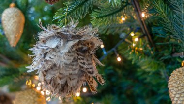 Noel ağacının, tüylü, mücevherli ve ışıklandırmalı yakın çekimi. Noel ve Yeni Yıl kavramları. Tasarım için resim.