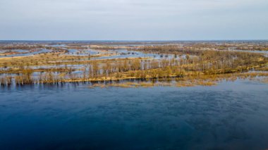 Taşra manzarası, nehir, çimen, ağaçlar. Doğa koruma. Metin için boşluk,