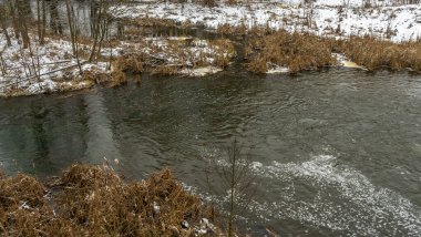 Kışın erken saatlerinde bulutlu bir günde küçük bir nehrin kış manzarası. Kristallerin içinde kurumuş çimenler var. Kışın bir tarlada akan su..