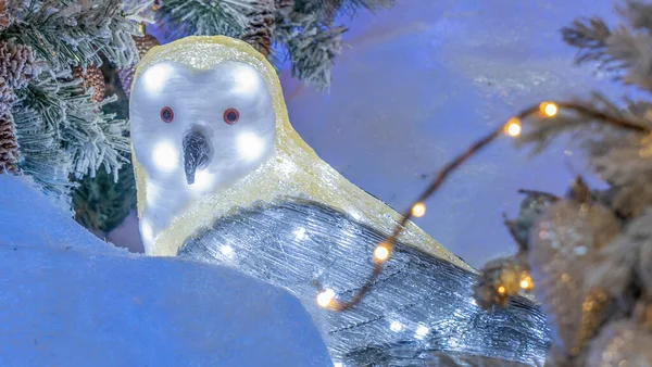 풀빛을 장난감 올빼미가 크리스마스 트리의 배경에 있습니다 새해의 개념이다 Xmas — 스톡 사진