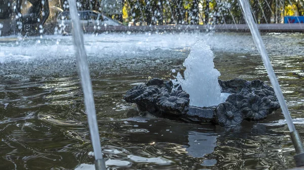 Bir sürü küçük su püskürtüsü olan halka açık bir çeşmenin yakın görüntüsü. Kavisli ışık çizgileri ve parlak su damlalarıyla soyut doğal görüntü. Kamu parkı geçmişi.