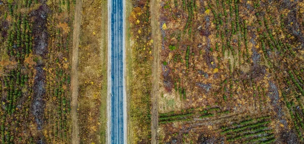 Vista Aérea Arriba Hacia Abajo Carretera Asfalto Rural Otoño Colores — Foto de Stock