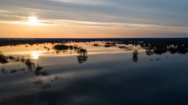 日没の高水の期間中に洪水の木 夕暮れ時の水の木ベラルーシのトゥロフ近くのプリピャート川の春の洪水の風景 自然と旅のコンセプト — ストック写真