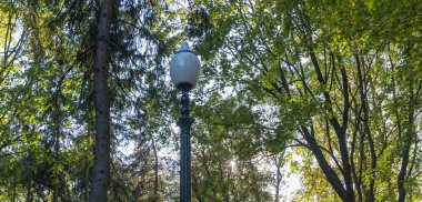 Yaz yeşilliklerinde sokak feneri. Güneş ışığı. Gün boyunca parktaki sokak lambası kapalı..