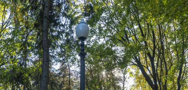 Yaz yeşilliklerinde sokak feneri. Güneş ışığı. Gün boyunca parktaki sokak lambası kapalı..