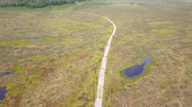 Bataklıktaki ekolojik yolun havadan görünüşü. İnsanlar bataklıktaki ahşap patikanın yanından geçiyorlar. Koruma ve çevre kavramı.