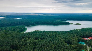 Göl kıyısında yetişen yeşil ağaç kocakarılarının hava aracı fotoğrafı. Doğa manzarası. Orman gölü manzarası. Seyahat kavramı.