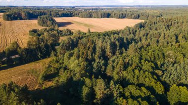 Yüksekten çam ormanı. Uçağı yemyeşil bir çam ormanının üzerinde..