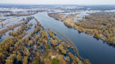 Dalgalanan sular altında kalan ağaçlar. Sudaki ağaçlar. Beyaz Rusya 'nın Turov kenti yakınlarındaki Pripyat Nehri' nin taşmasıyla manzara.