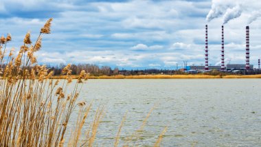 Büyük petrol rafinerisinin arka planında kurumuş çiçeklerin olduğu tarla. Dramatik gökyüzü arkaplanı. Ekolojik sorun kavramı.