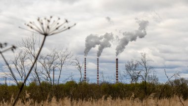 Büyük petrol rafinerisinin arka planında kurumuş çiçeklerin olduğu tarla. Dramatik gökyüzü arkaplanı. Ekolojik sorun kavramı.