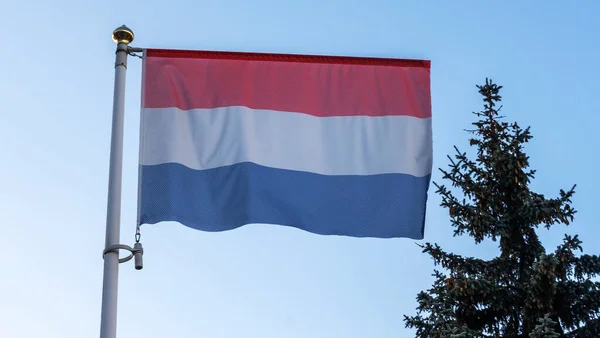 太陽の光 レンズフレアや木と青空の前に旗竿にオランダの国旗 外交概念 国際関係 テキストのスペース — ストック写真