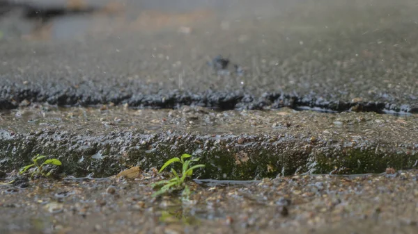 Esős Napokon Esőcseppek Csapódnak Pocsolyákba Esőcseppek Beleesnek Egy Nagy Tócsába — Stock Fotó