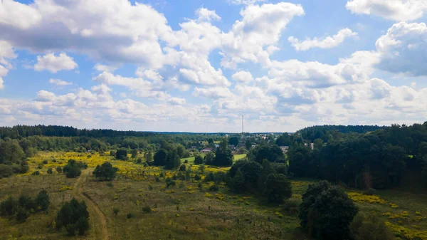 Летний Сельский Пейзаж Голубым Небом Облаками Лугом Лесом Вид Воздуха — стоковое фото