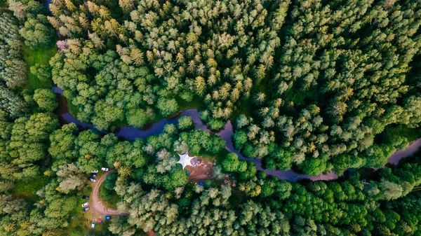 Yüksekten çam ormanı. Uçağı yemyeşil bir çam ormanının üzerinde..
