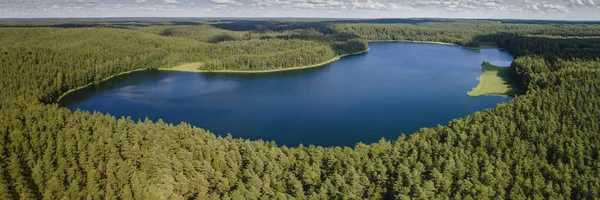 Αεροφωτογραφία Επανδρωμένου Αεροσκάφους Πράσινους Κρόνους Δέντρων Που Φυτρώνουν Στη Λίμνη — Φωτογραφία Αρχείου