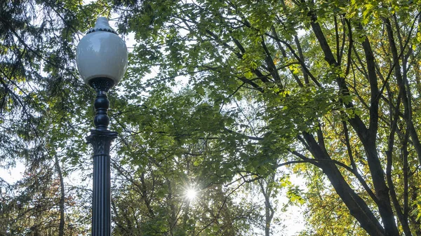 Вуличний Ліхтар Фоні Літнього Листя Сонячне Світло Вулична Лампа Вимкнена — стокове фото