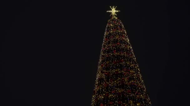 크리스마스 트리의 어두운 배경에 공간으로 흐릿하게 빛났습니다 문자를 비디오 — 비디오