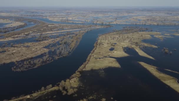 Затопленные Деревья Период Высокой Воды Деревья Воде Пейзаж Весенним Затоплением — стоковое видео