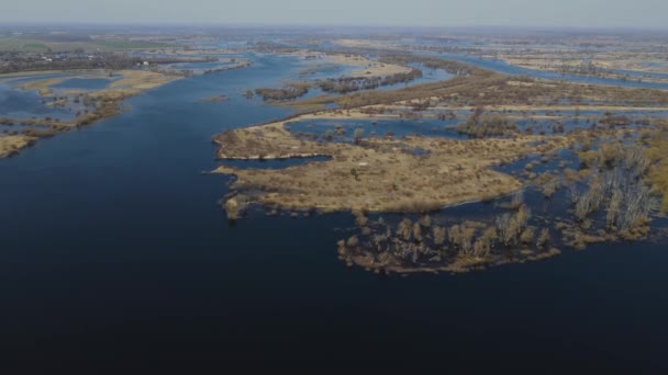 Översvämmade Träd Period Med Högt Vatten Träd Vatten Landskap Med — Stockvideo